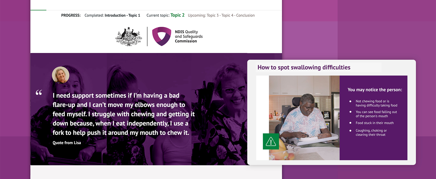 A screenshot of the NDIS online training.
